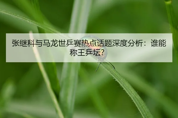 zhang-ji-ke-yu-ma-long-shi-ping-sai-re-dian-hua-ti-shen-du-fen-xi-shui-neng-cheng-wang-ping-tan-2-286.jpg
